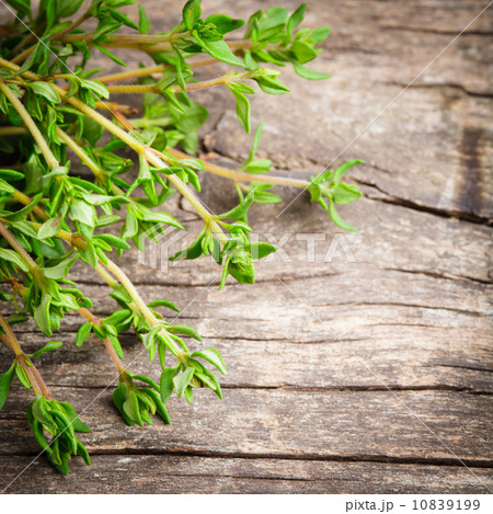 thyme on the wooden table 10839199