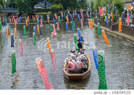 巴波川の鯉のぼり 巴波川の鯉のぼり 10839520
