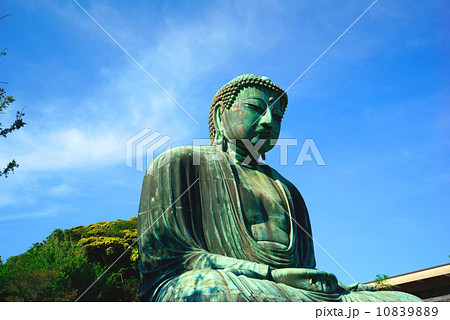 鎌倉大仏 晴れ 鎌倉大仏 晴れ 10839889