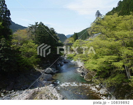 みたらい渓谷 10839892