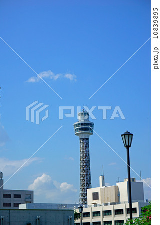 マリンタワー 10839895