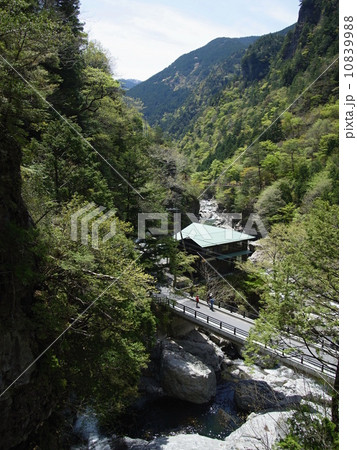 みたらい渓谷 10839988