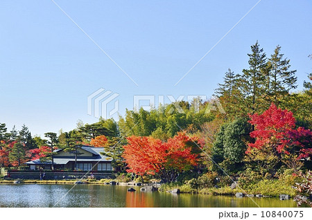 昭和記念公園 日本庭園 10840075