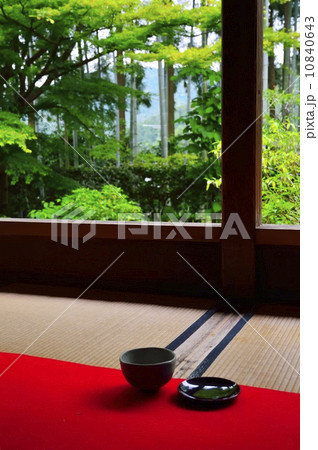 宝泉院額縁庭園　お茶　リラックス 10840643