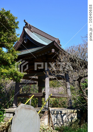 鎌倉　宝戒寺（2014.4） 10840688