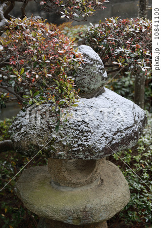 薄雪の石灯篭 薄雪の石灯篭 10841100