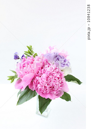 芍薬とトルコギキョウのアレンジ（縦　横から　芍薬手前） 10841238