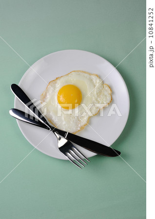 scrambled eggs 10841252