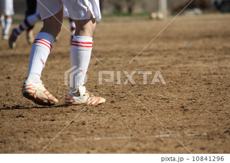 青春 青春 10841296