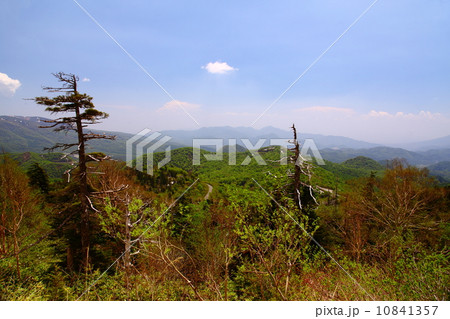 双竜の辻 双竜の辻 10841357