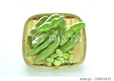そら豆 10841635