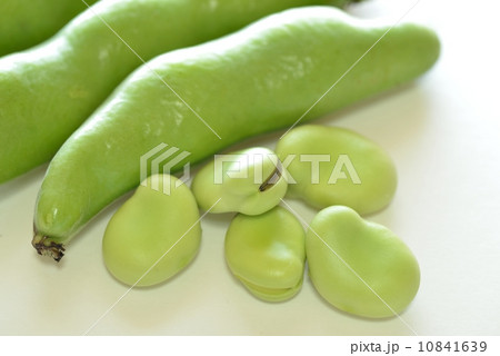 そら豆 10841639