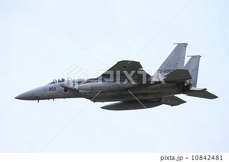 Ｆ１５戦闘機 10842481
