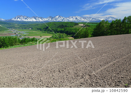東神楽町 志比内の風景 10842590