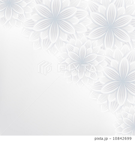Beautiful lace floral background with flowers 10842699