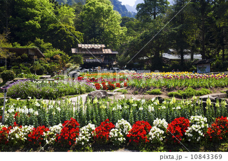 農場 農園 農村地帯 10843369