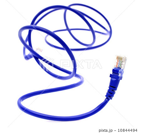 Blue Computer Cable RJ45 Plugs. Isolated on White Background 10844494