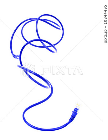 Blue Computer Cable RJ45 Plugs. Isolated on White Background 10844495
