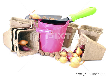Bucket, Shovel, Seeds, Dlay Isolated on White Bucket, Shovel, Seeds, Dlay Isolated on White 10844522