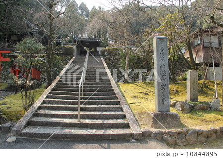 岩屋寺 10844895
