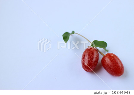 グミの実 10844943