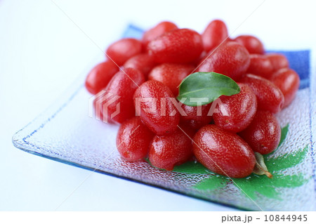 グミの実 10844945