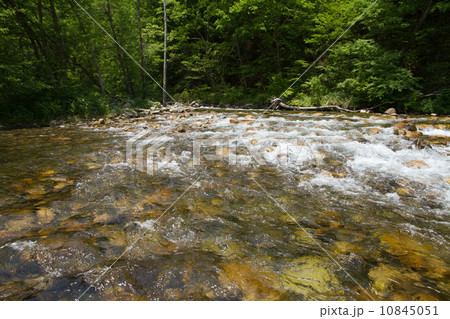 安曇野 烏川渓谷緑地 北アルプスから流れ下る渓流 安曇野 烏川渓谷緑地 北アルプスから流れ下る渓流 10845051