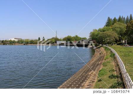 久喜市の昭和沼 10845074
