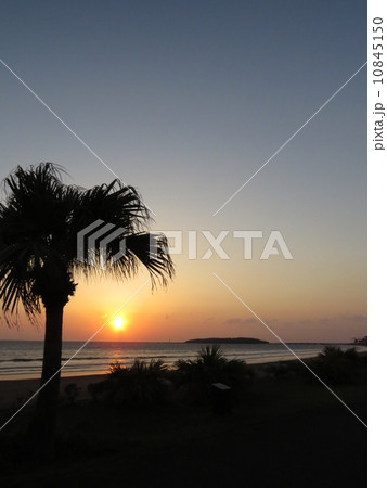 青島の夜明け 10845150