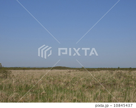 初夏の釧路湿原 初夏の釧路湿原 10845437