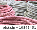 縄 10845461