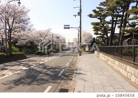 堺市堺区御陵前通りの街並み 堺市堺区御陵前通りの街並み 10845658