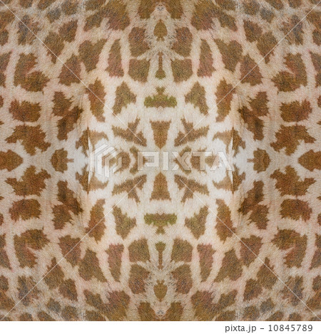 seamless pattern seamless pattern 10845789
