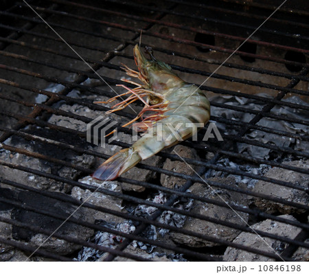 Cooking fresh tiger prawn grilled Cooking fresh tiger prawn grilled 10846198
