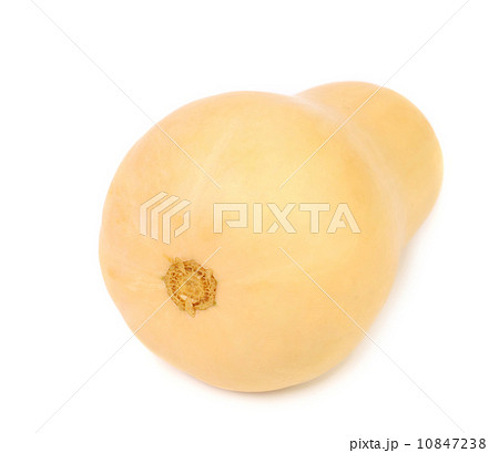 Tail of pumpkin. 10847238