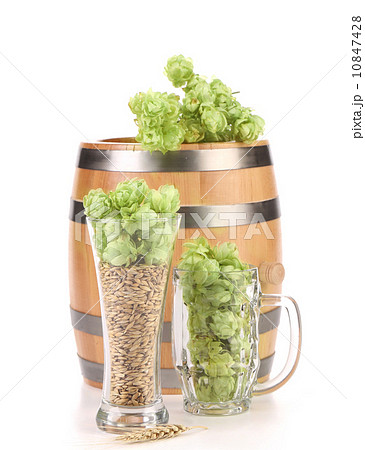 Barrel and two mug with barley hop. Barrel and two mug with barley hop. 10847428