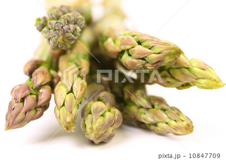 fresh asparagus spears 10847709