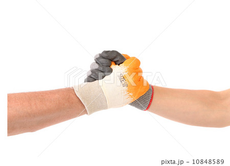 Alliance of working people. 10848589