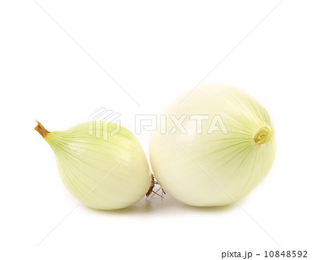 Peeled white onions 10848592
