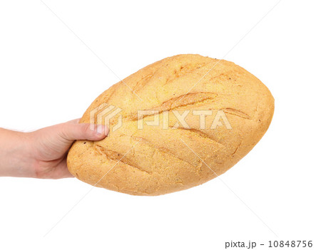 Hand hold white bread of corn meal. 10848756
