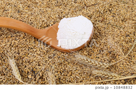 Blend of different grains and flour. Close up. 10848832