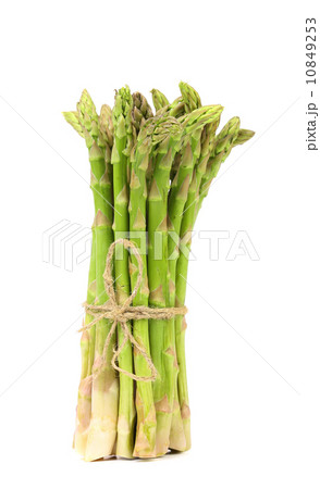 Bunch Asparagus on the white background 10849253