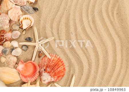 Lot of shells and seastars on sandy background 10849963