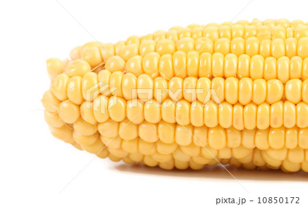Close up of fresh corn. 10850172