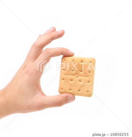 Hand holds saltine soda cracker. 10850255