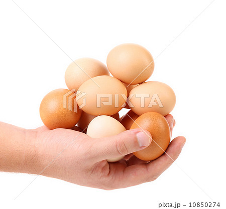 hands holding eggs isolated 10850274
