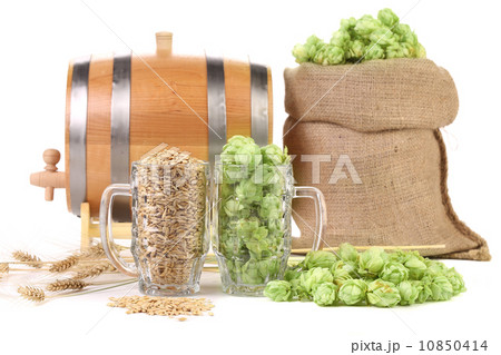 Two mugs with barley and hop. 10850414