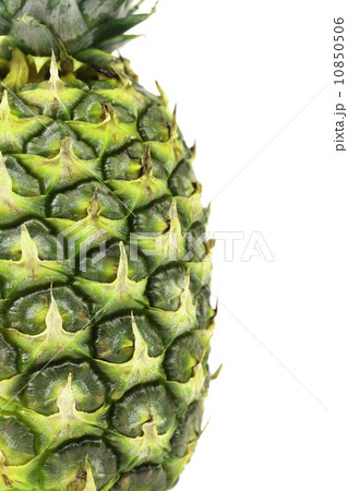 Close up of a pineapple. 10850506