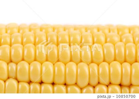Tasty yellow ear of corn. Close up. Tasty yellow ear of corn. Close up. 10850700