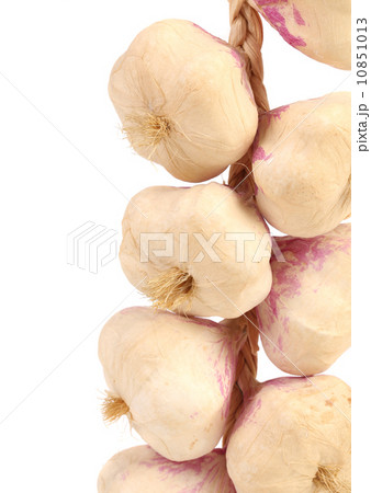 Close up of garlics plait. Close up of garlics plait. 10851013